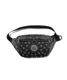画像1: HIDEANDSEEK(ハイドアンドシーク) / SABIN 6L SLING HIDE&SEEK edition (1)