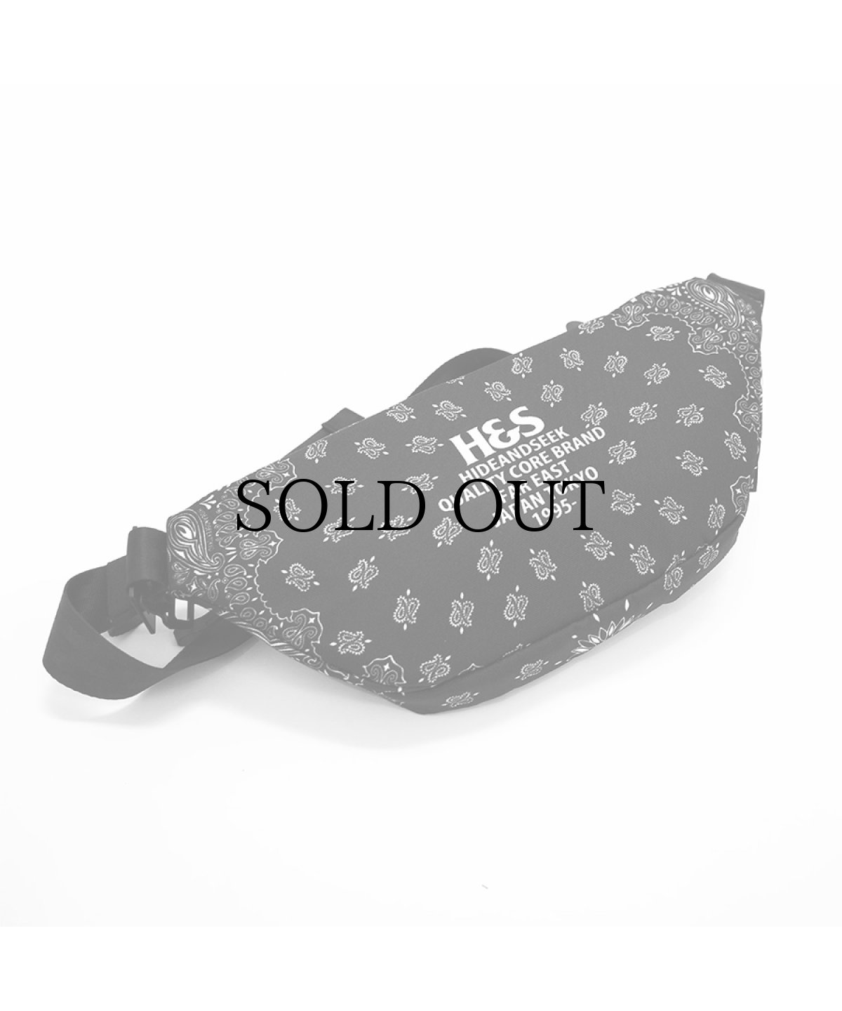 画像2: HIDEANDSEEK(ハイドアンドシーク) / SABIN 6L SLING HIDE&SEEK edition (2)