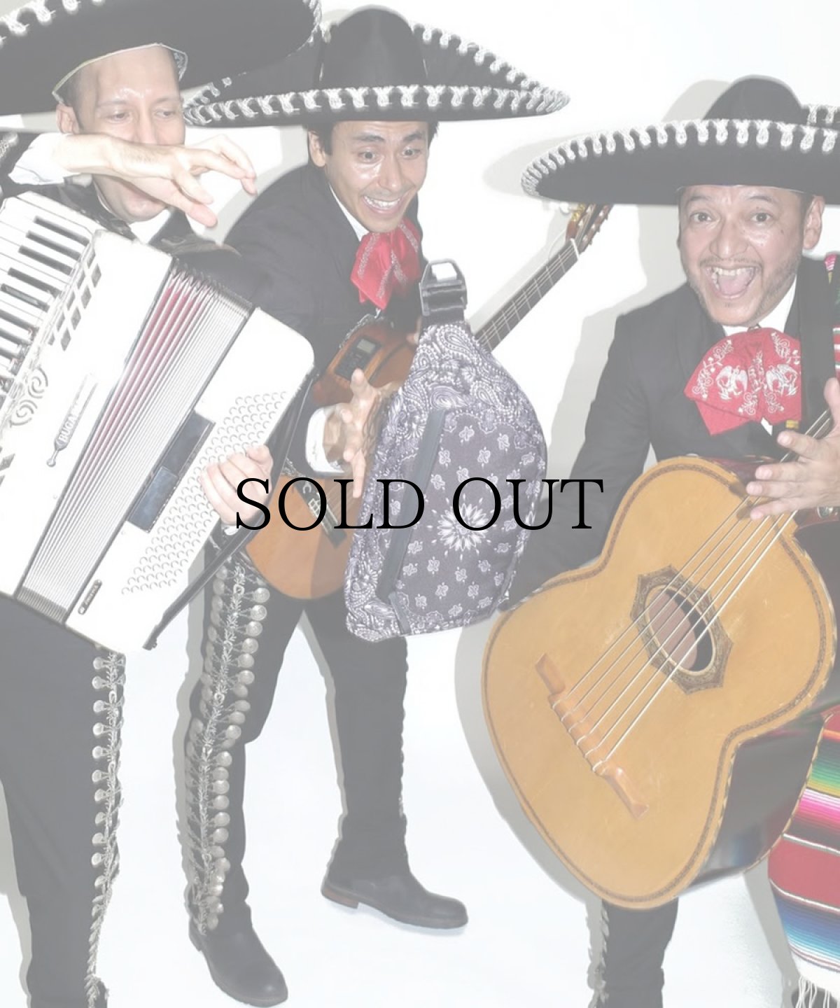 画像7: HIDEANDSEEK(ハイドアンドシーク) / SABIN 6L SLING HIDE&SEEK edition (7)