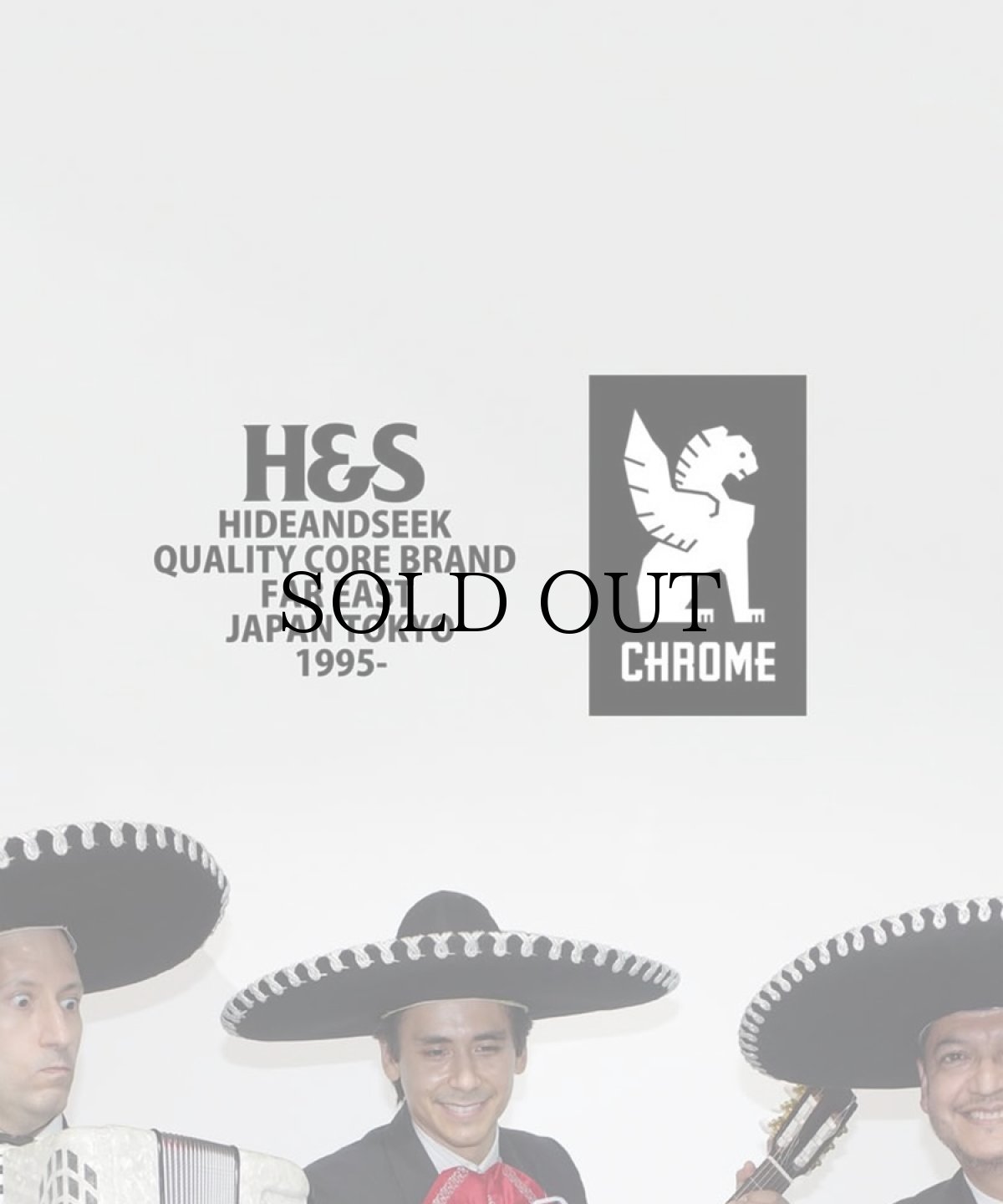 画像5: HIDEANDSEEK(ハイドアンドシーク) / SABIN 6L SLING HIDE&SEEK edition (5)