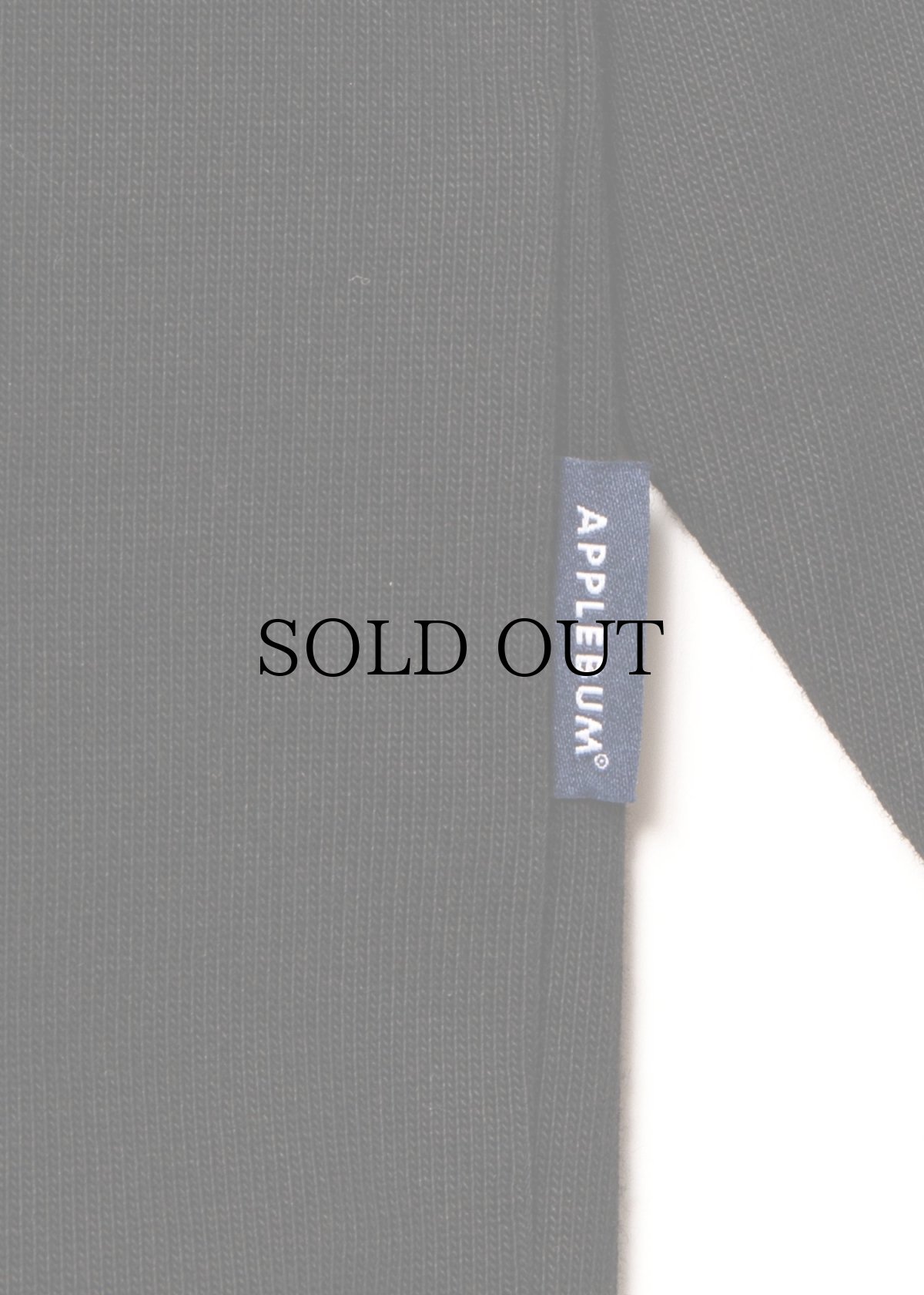 画像9: APPLEBUM(アップルバム) / “WORM” 浮世絵 L/S T-shirt (9)