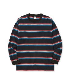 画像1: CALEE(キャリー) / HARLEY BORDER L/S CS (1)