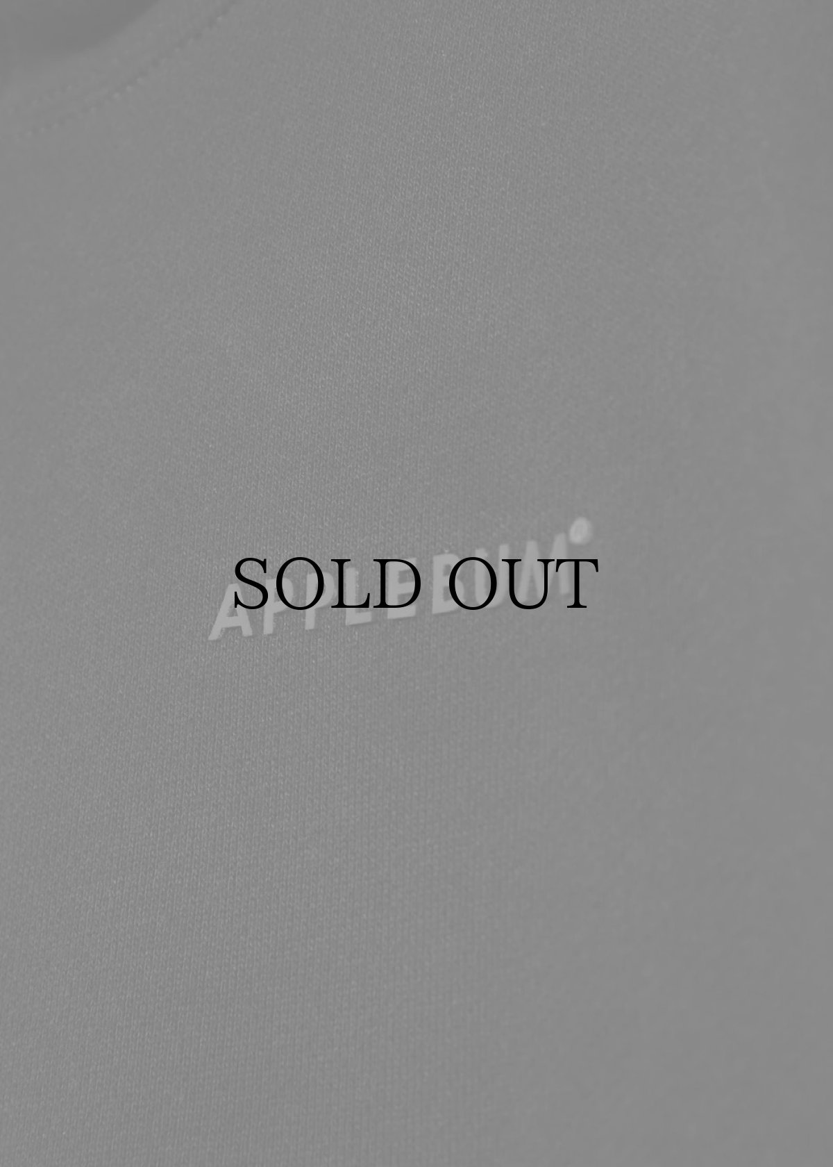 画像5: APPLEBUM(アップルバム) / “ERIC COLEMAN” SWEAT HOODIE-MV1 (5)