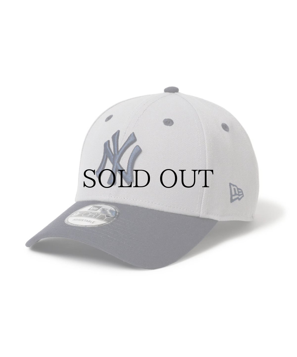 画像1: NEW ERA / 9FORTY 2-Tone Woven Label ニューヨーク・ヤンキース (1)