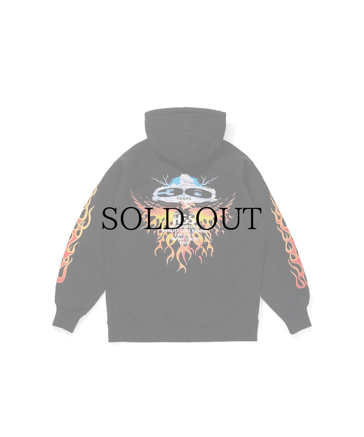 画像1: HIDEANDSEEK(ハイドアンドシーク) / 30th Hooded Sweat Shirt (1)