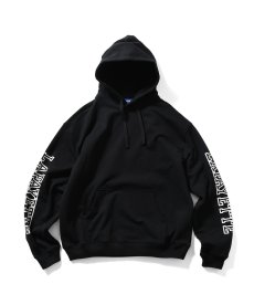 画像2: LFYT(ラファイエット) / SLEEVE LINE HOODIE (2)