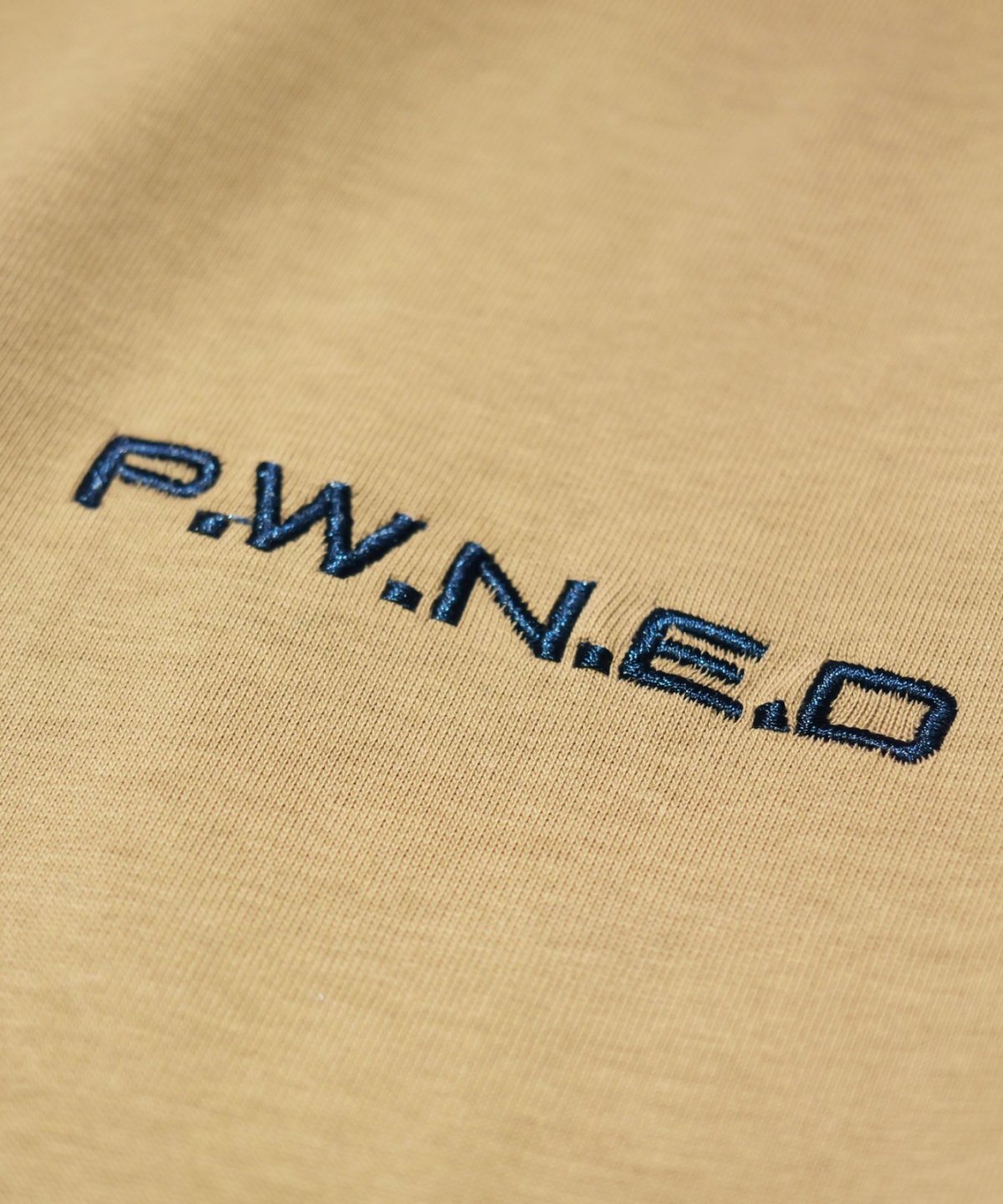 画像11: PWNED(パウンド) / TWO-TONE RAGLAN EMBROIDERY LS TEE (11)