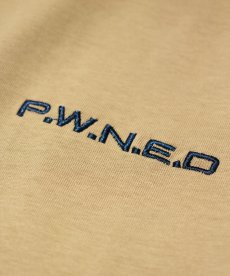 画像10: PWNED(パウンド) / TWO-TONE RAGLAN EMBROIDERY LS TEE (10)