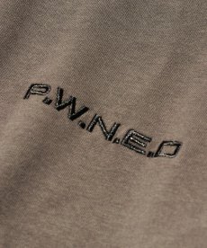 画像11: PWNED(パウンド) / TWO-TONE RAGLAN EMBROIDERY LS TEE (11)