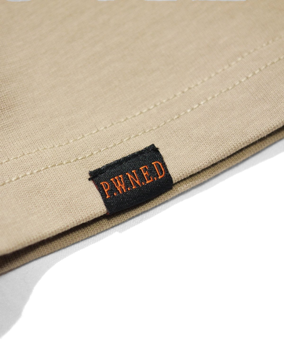 画像13: PWNED(パウンド) / TWO-TONE RAGLAN EMBROIDERY LS TEE (13)