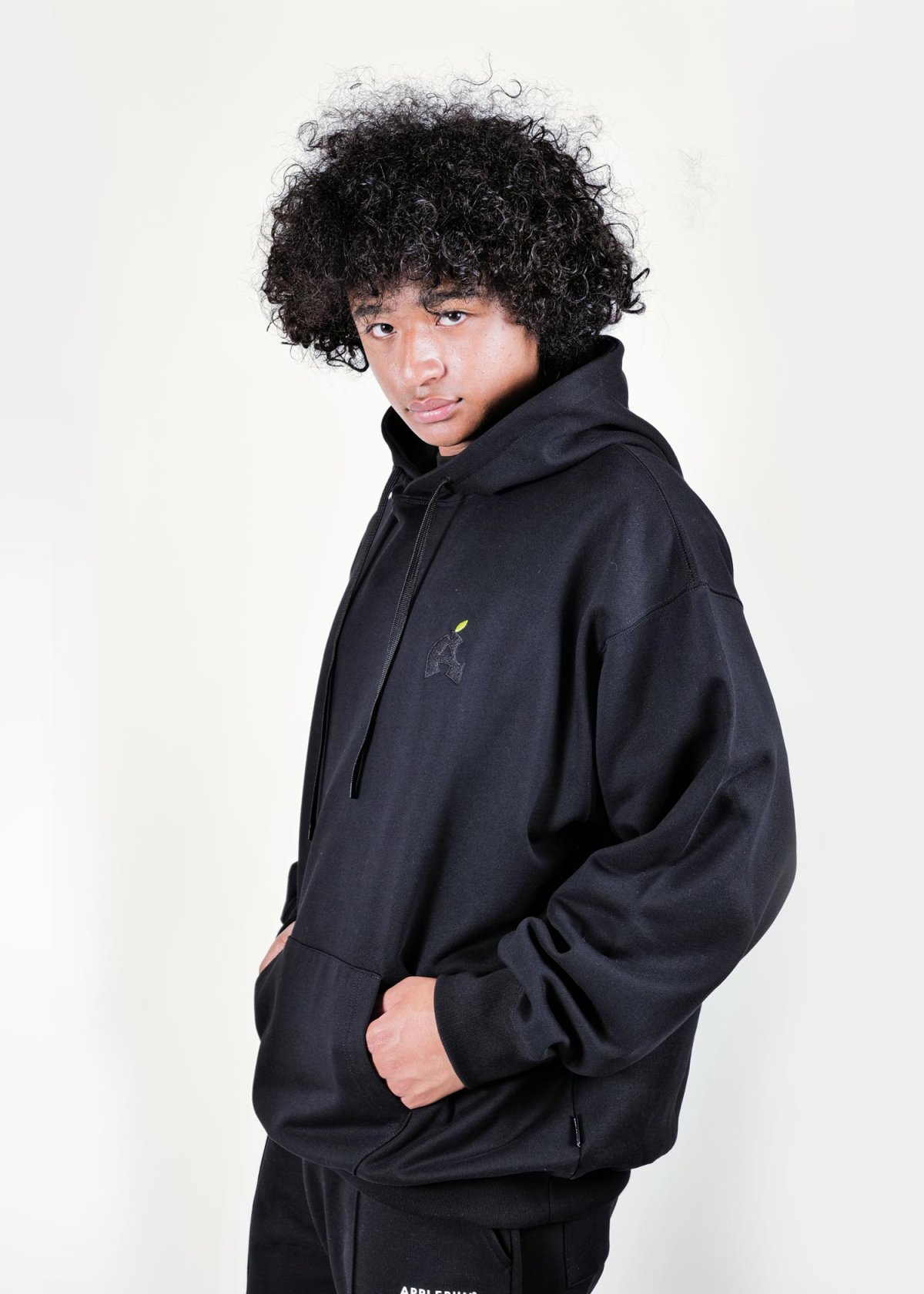 画像9: APPLEBUM(アップルバム) / “BLACK APPLE” Sweat Parka (9)