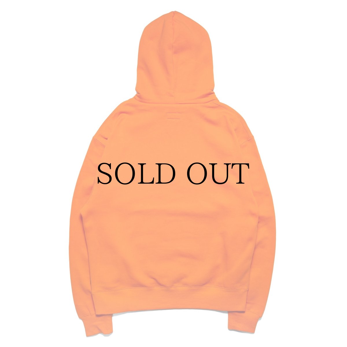 画像9: HAIGHT / (R) LOGO HOODIE (9)