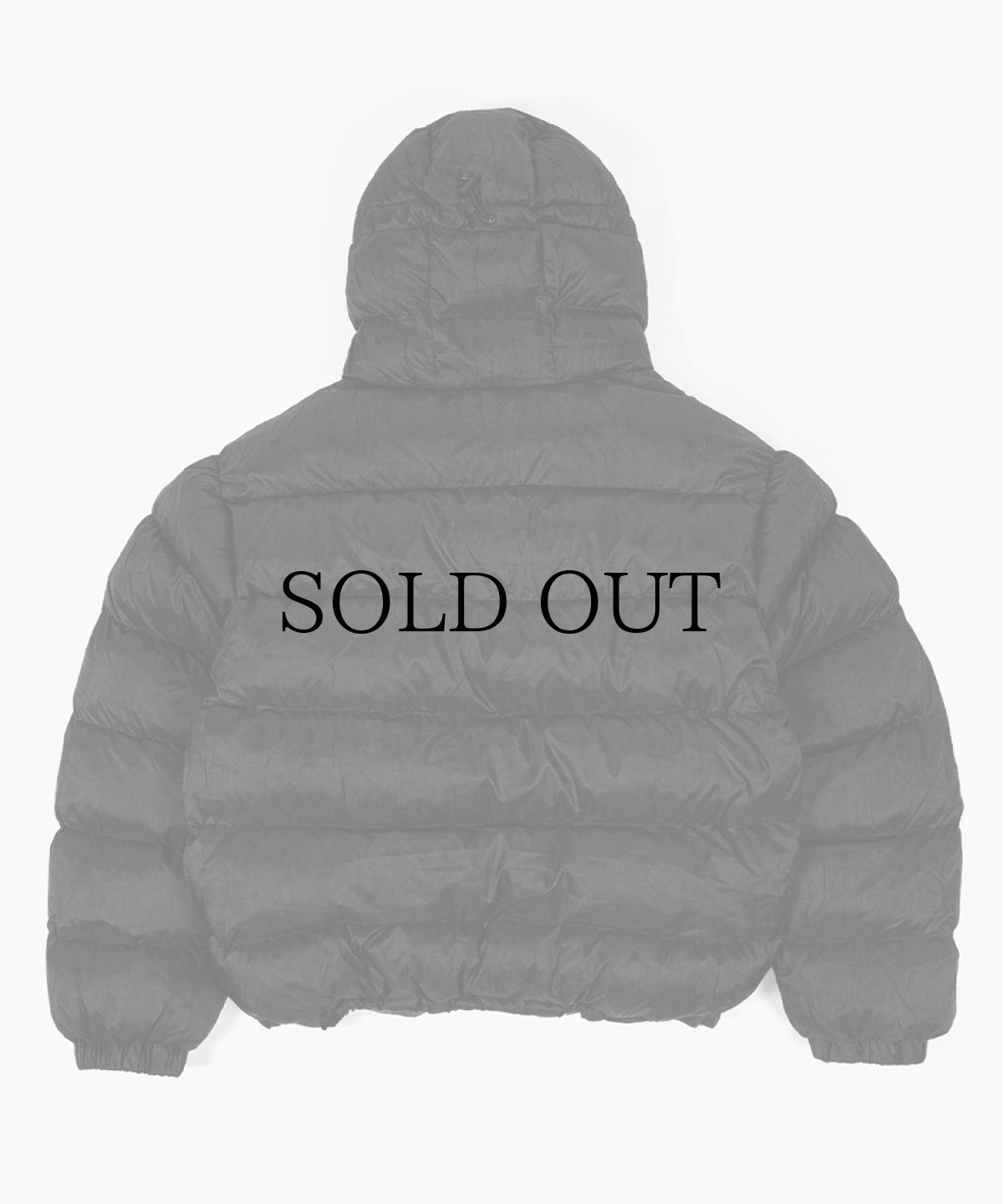 画像4: WASTED PARIS / ELEVATION Puffer Jacket (4)