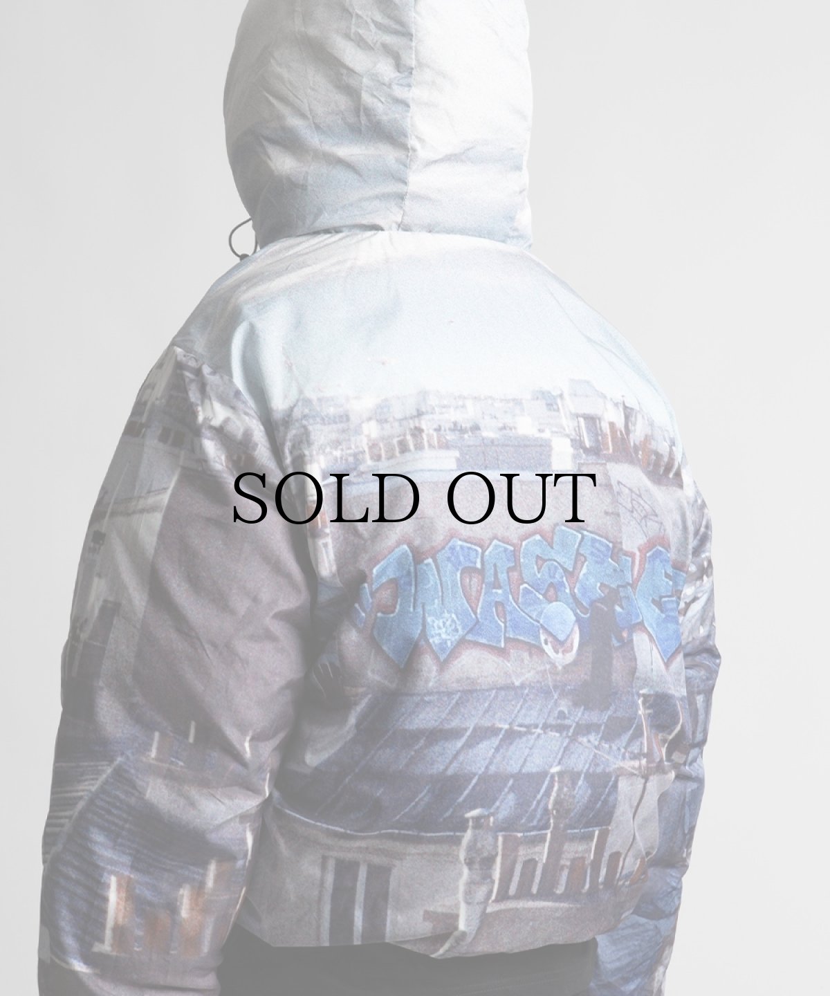 画像5: WASTED PARIS / ELEVATION Puffer Jacket (5)