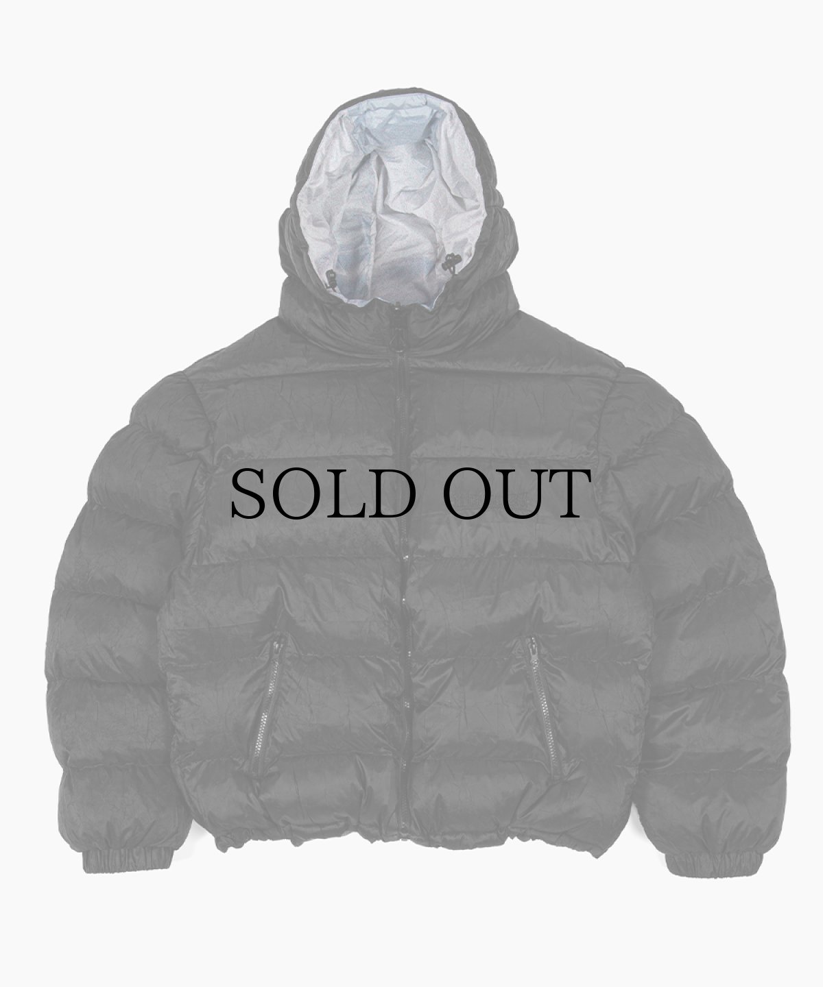 画像2: WASTED PARIS / ELEVATION Puffer Jacket (2)