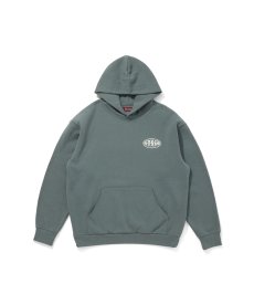 画像6: HIDEANDSEEK(ハイドアンドシーク) / HDNSK Hooded Sweat Shirt (6)