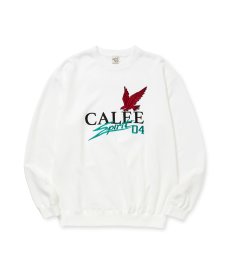 画像2: CALEE(キャリー) / CALEE FS LOGO CREW NECK SW (2)