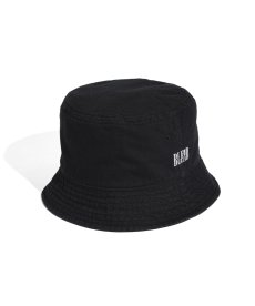 画像3: BLEND(ブレンド) / DOWN BRIM BUCKET HAT (3)