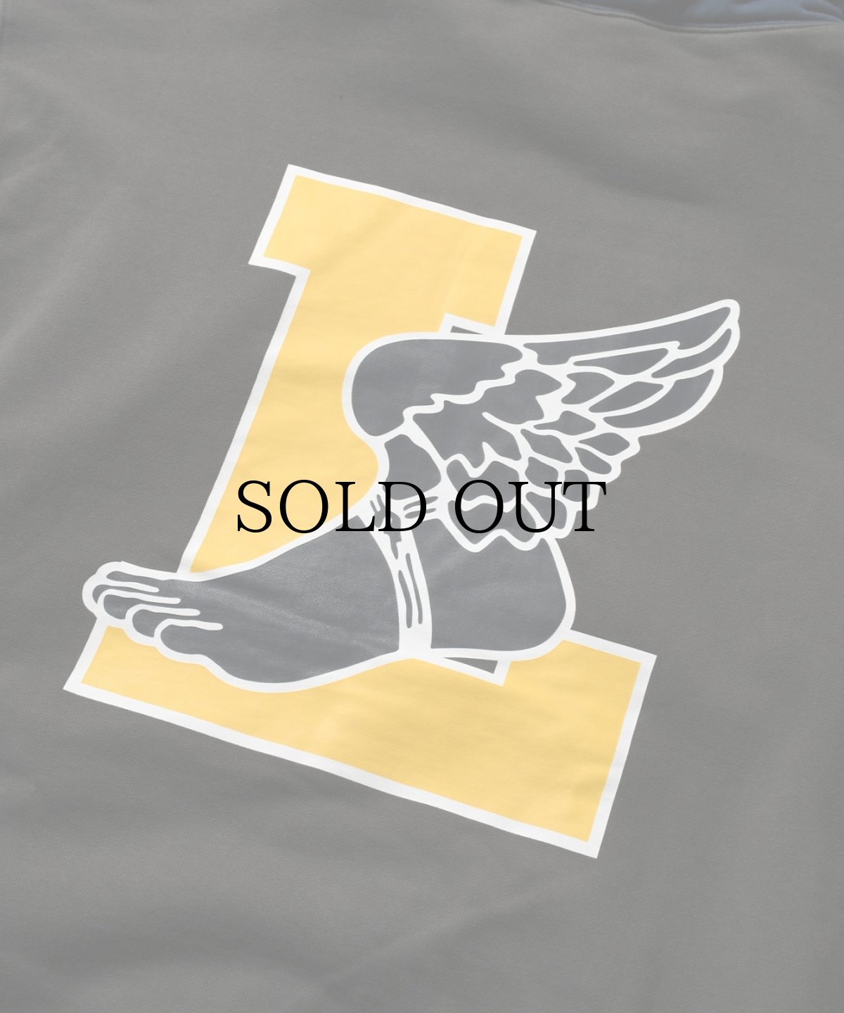 画像8: 【30%OFF】LFYT(ラファイエット) / RETRO WING HOODIE (8)