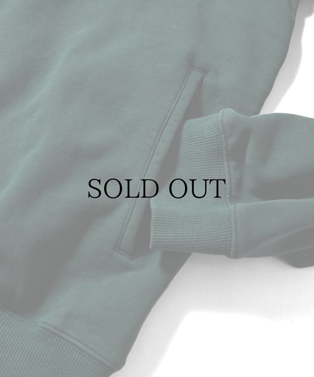 画像19: 【30%OFF】LFYT(ラファイエット) / ARCH LOGO HALFZIP SWEATSHIRT (19)