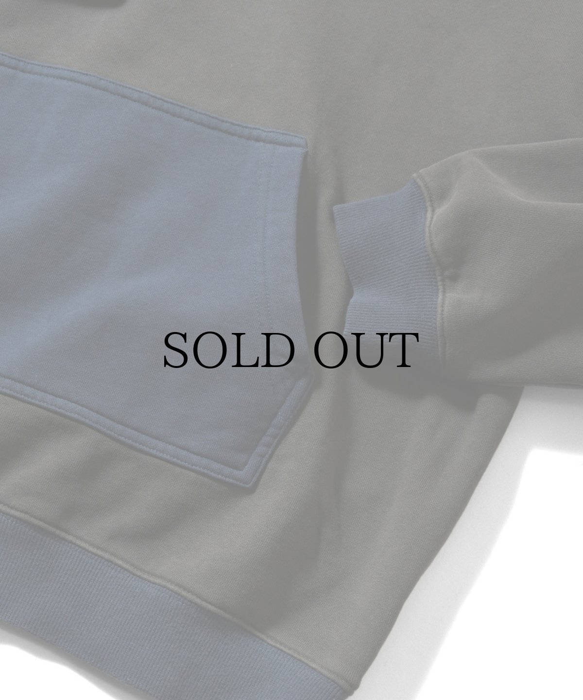 画像10: 【30%OFF】LFYT(ラファイエット) / RETRO WING HOODIE (10)