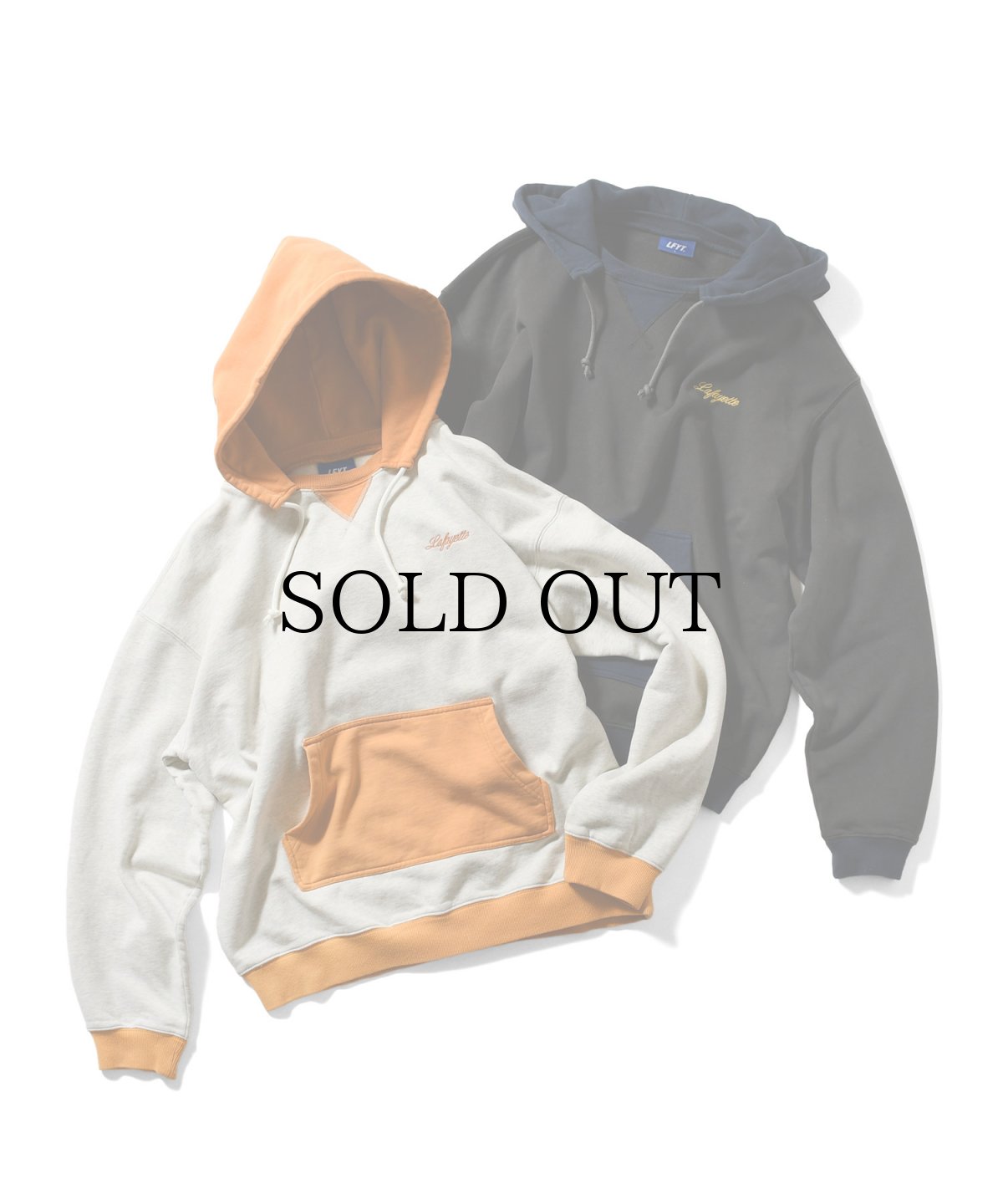 画像1: 【30%OFF】LFYT(ラファイエット) / RETRO WING HOODIE (1)