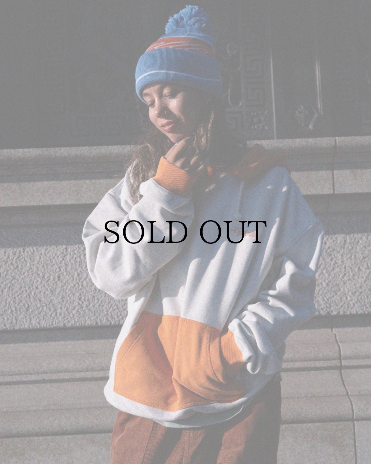 画像13: 【30%OFF】LFYT(ラファイエット) / RETRO WING HOODIE (13)