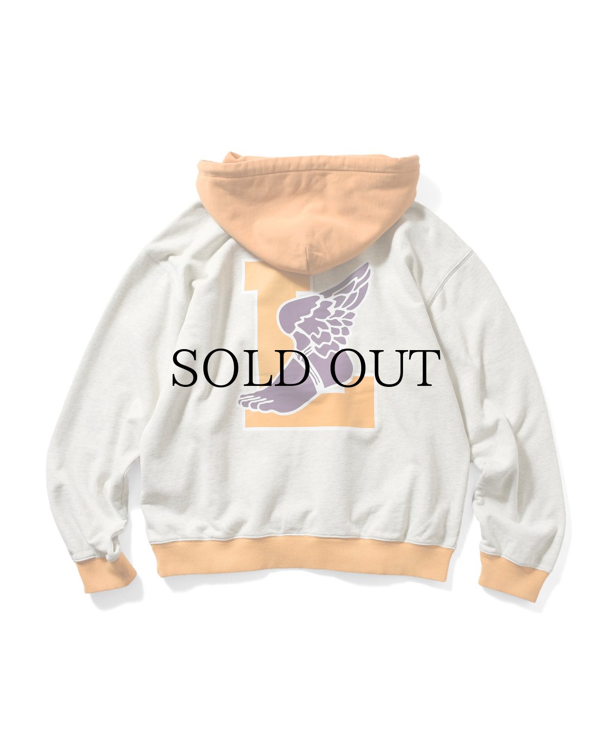 画像5: 【30%OFF】LFYT(ラファイエット) / RETRO WING HOODIE (5)