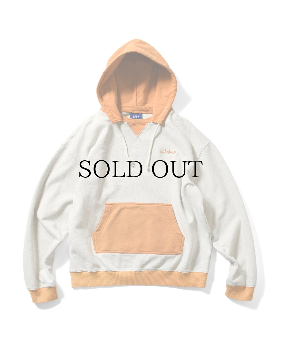 画像3: 【30%OFF】LFYT(ラファイエット) / RETRO WING HOODIE (3)