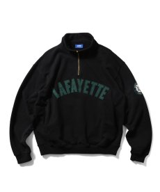 画像2: LFYT(ラファイエット) / ARCH LOGO HALFZIP SWEATSHIRT (2)