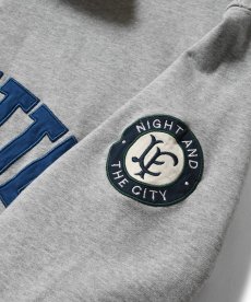 画像15: LFYT(ラファイエット) / ARCH LOGO HALFZIP SWEATSHIRT (15)