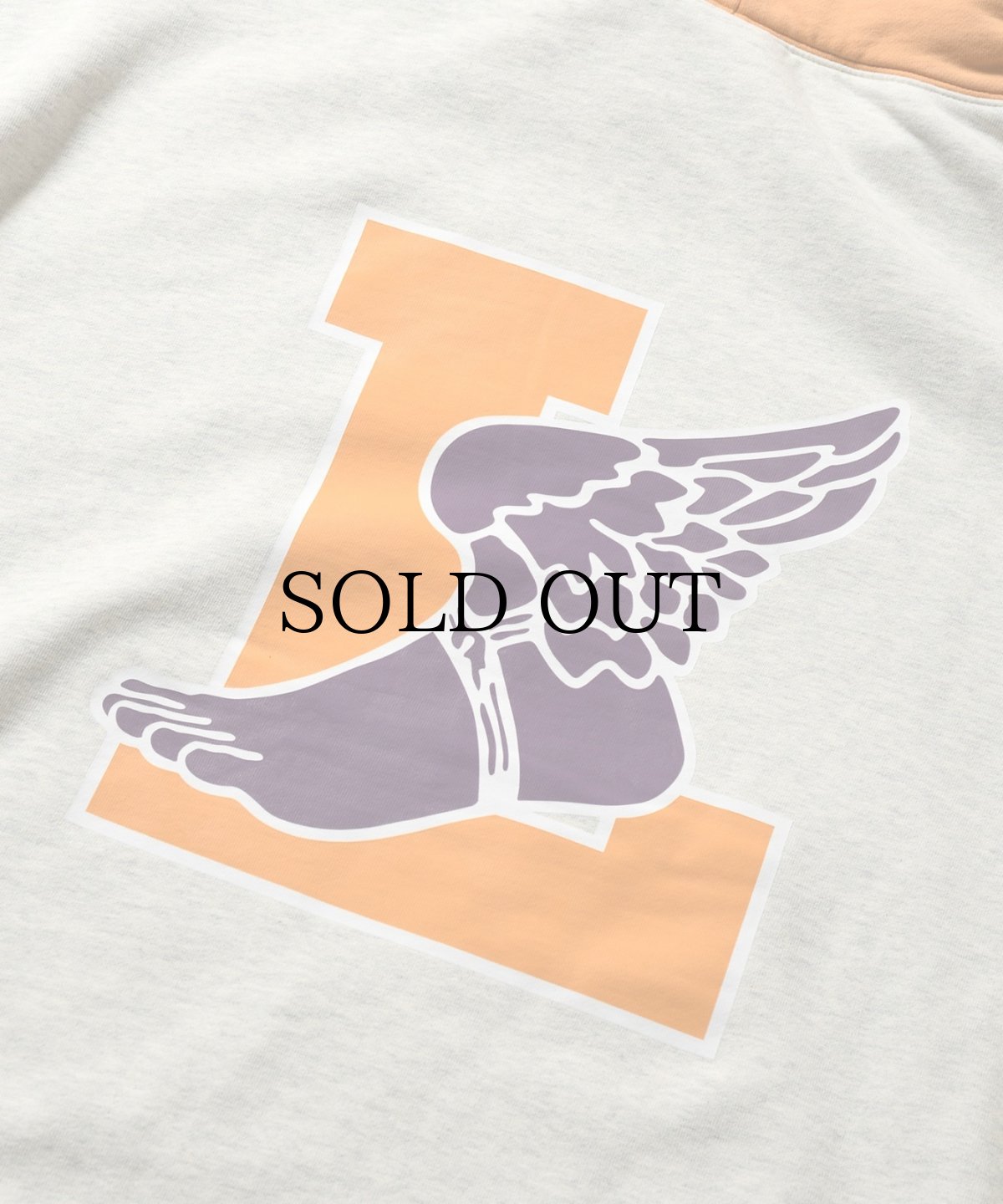 画像9: 【30%OFF】LFYT(ラファイエット) / RETRO WING HOODIE (9)