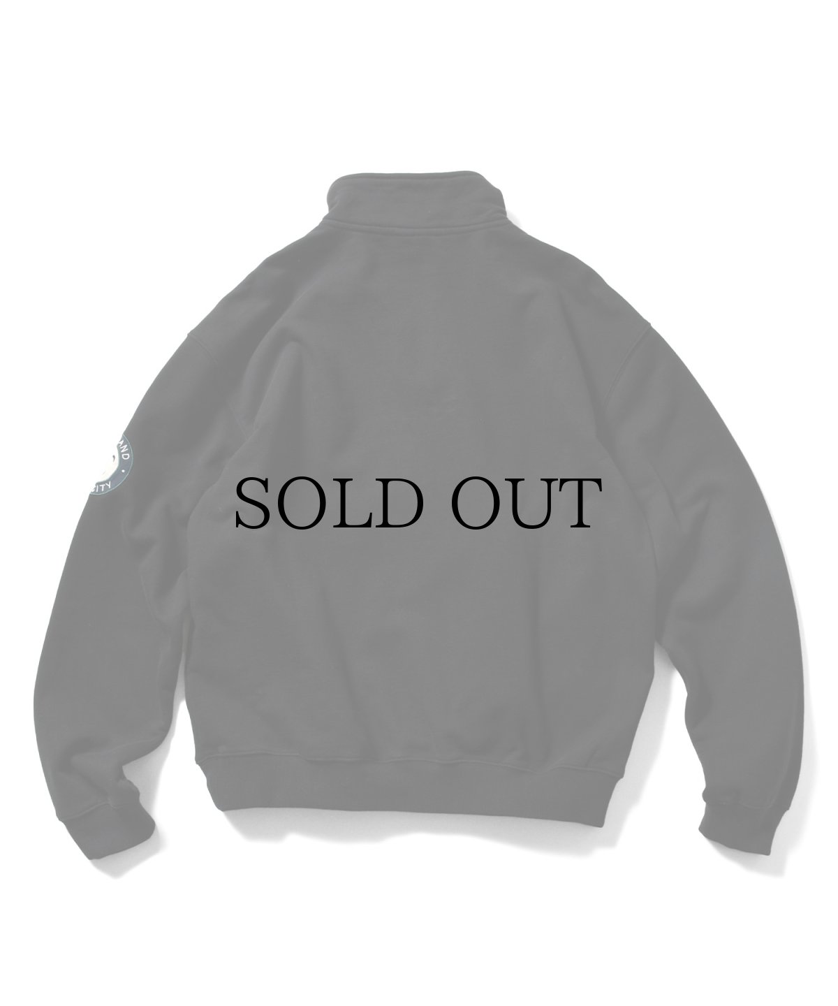 画像5: 【30%OFF】LFYT(ラファイエット) / ARCH LOGO HALFZIP SWEATSHIRT (5)