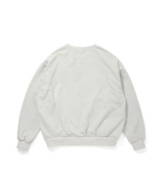 画像4: HIDEANDSEEK(ハイドアンドシーク) / College Sweat Shirt (4)