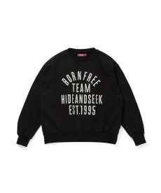 画像1: HIDEANDSEEK(ハイドアンドシーク) / College Sweat Shirt (1)