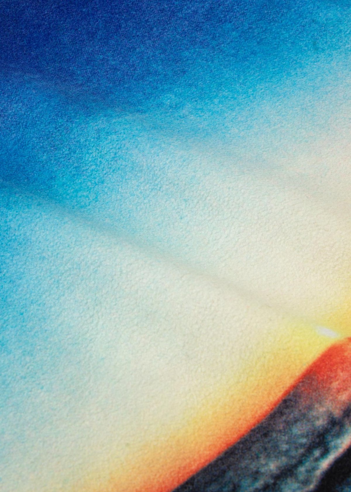 画像8: APPLEBUM(アップルバム) / “Summer Madness” Half Zip Fleece (8)