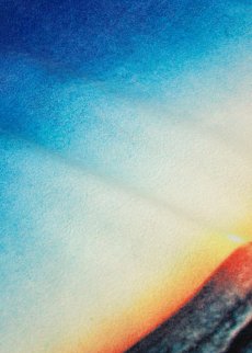 画像8: APPLEBUM(アップルバム) / “Summer Madness” Half Zip Fleece (8)