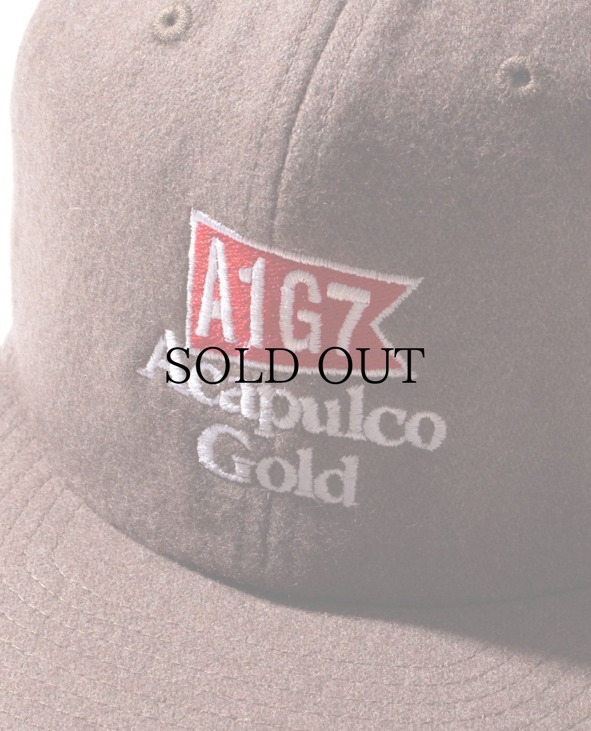 画像10: ACAPULCO GOLD(アカプルコゴールド) / WOOL 6 PANEL CAP (10)