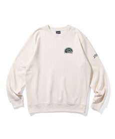 画像4: PRILLMAL(プリルマル) / CHILL MOUNT !! CREW NECK SWEAT (4)