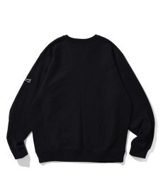画像5: PRILLMAL(プリルマル) / CHILL MOUNT !! CREW NECK SWEAT (5)