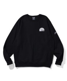 画像2: PRILLMAL(プリルマル) / CHILL MOUNT !! CREW NECK SWEAT (2)