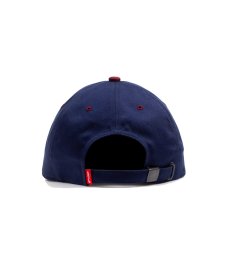 画像6: ACAPULCO GOLD(アカプルコゴールド) / CREST 6 PANEL CAP (6)