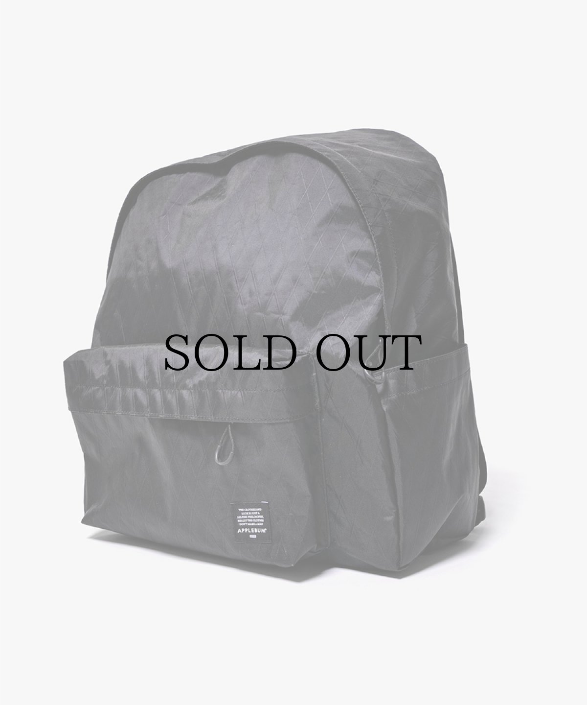 画像2: APPLEBUM(アップルバム) / (X-Pac) Big Backpack (2)