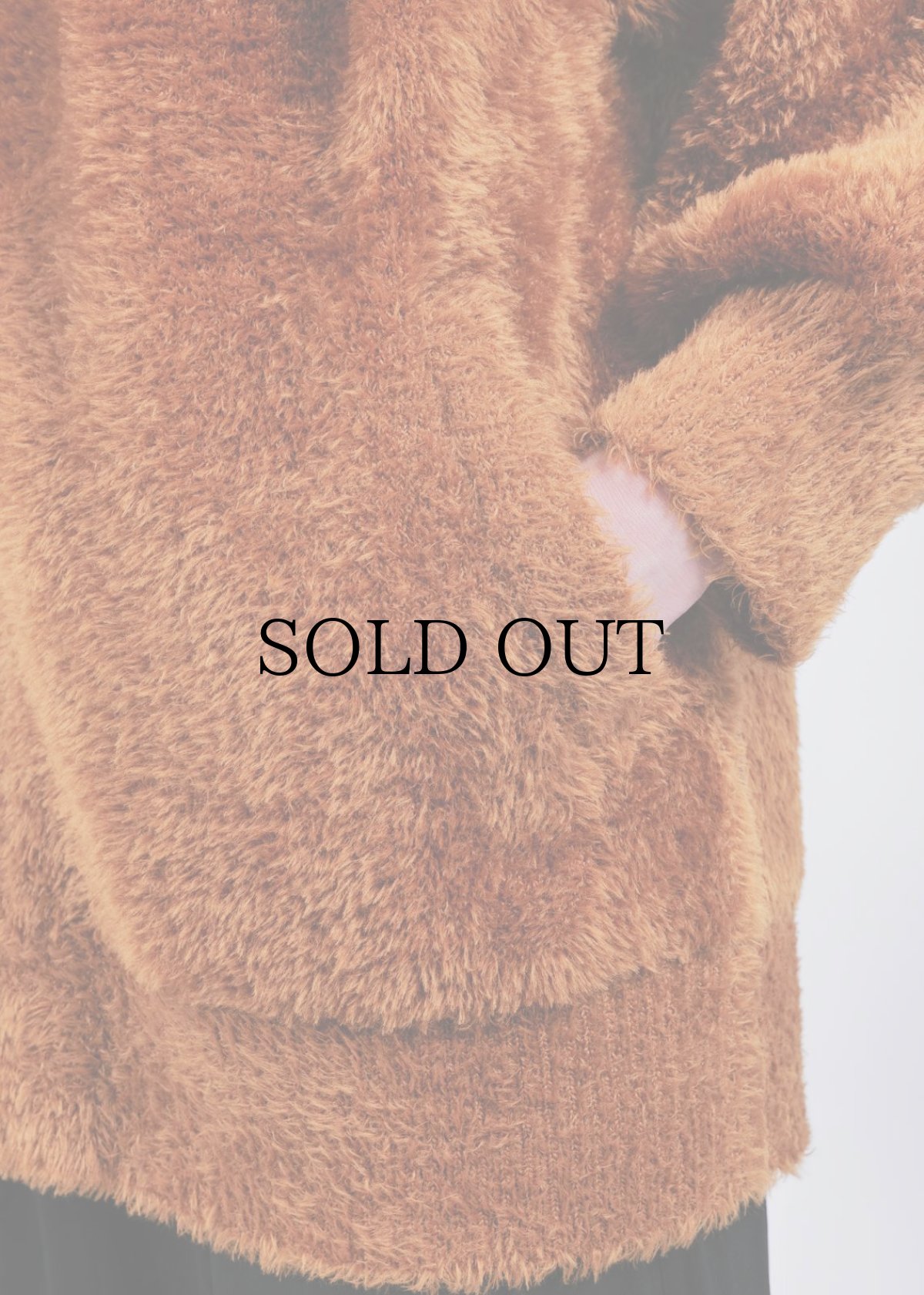 画像6: APPLEBUM(アップルバム) / Octa Fur Jacket (6)