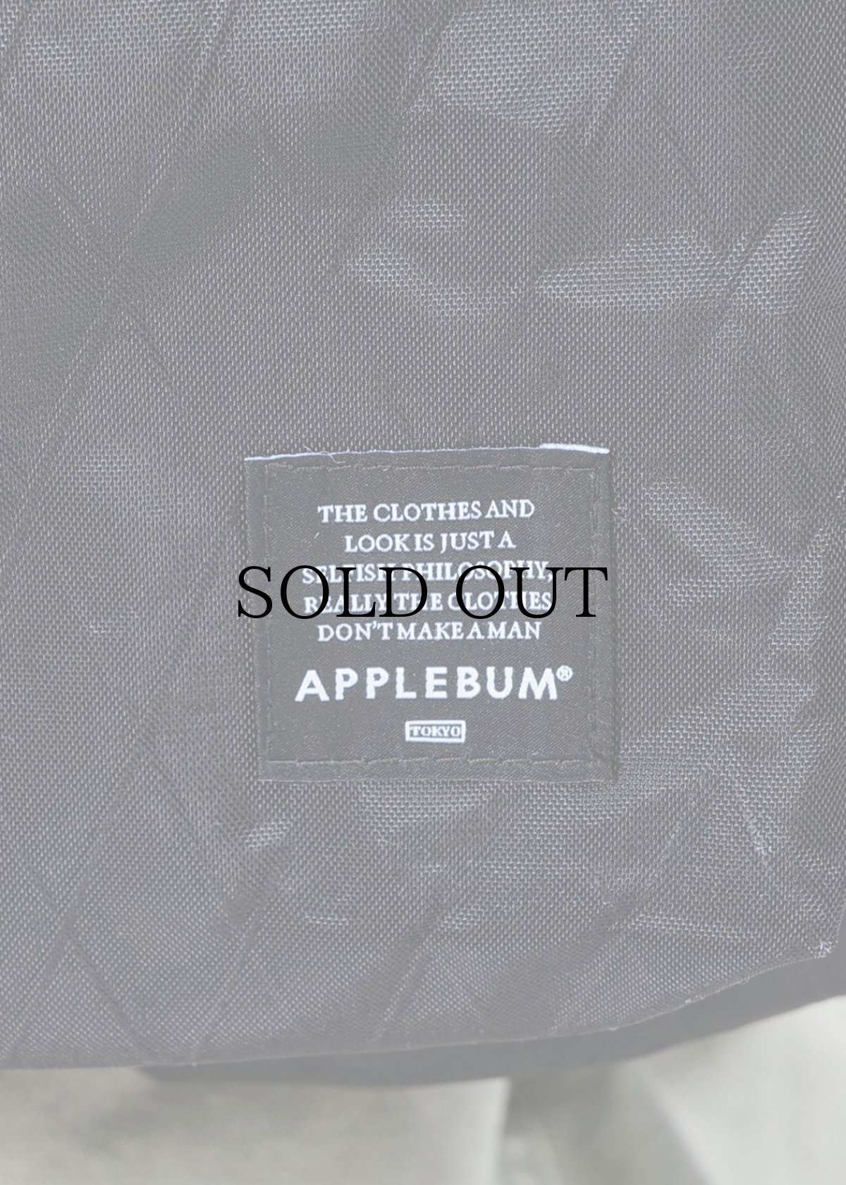 画像4: APPLEBUM(アップルバム) / (X-Pac) Big Backpack (4)