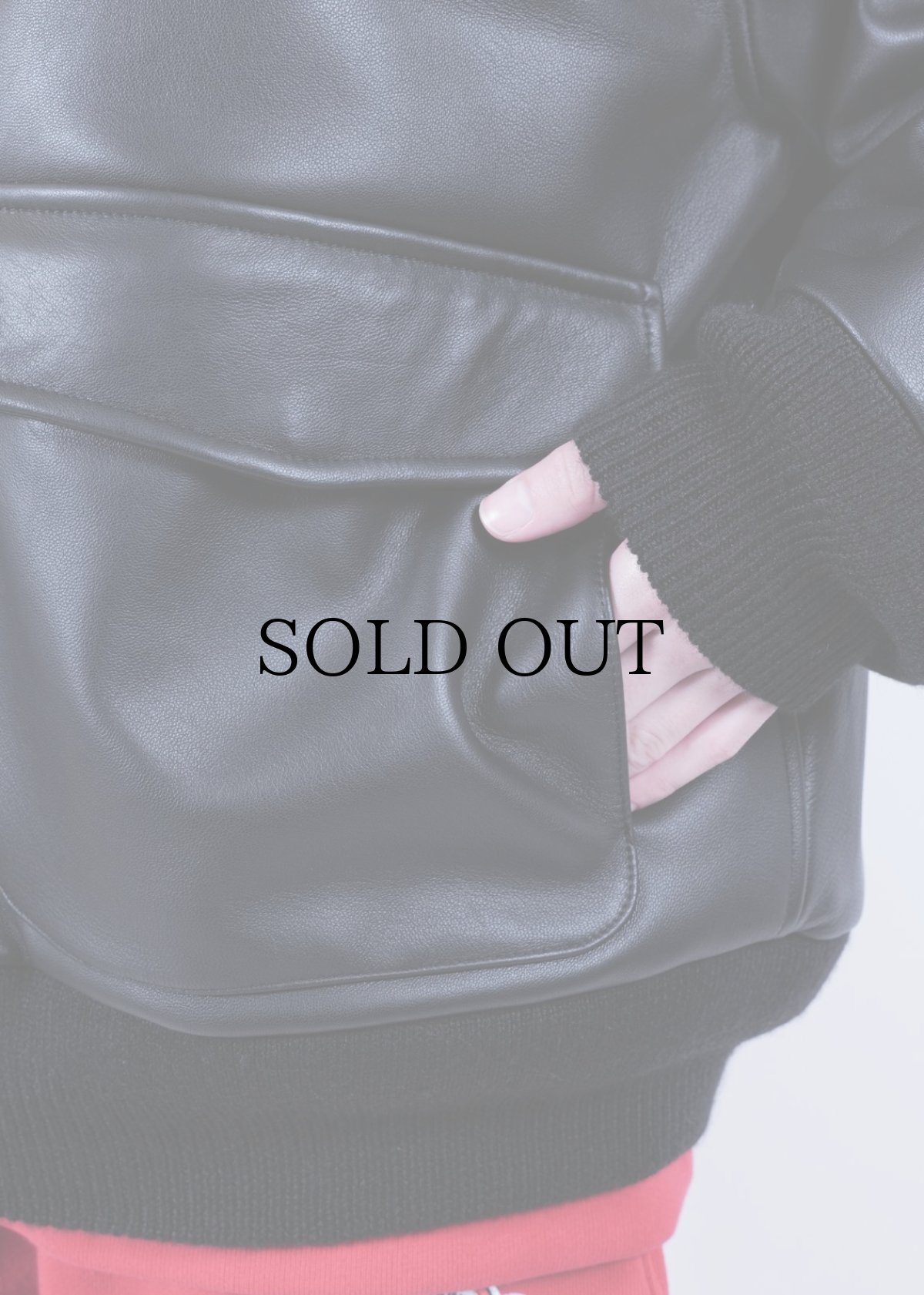 画像4: APPLEBUM(アップルバム) / A-2 Leather Jacket (4)