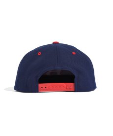 画像4: BLEND(ブレンド) / B INSIGNIA CAP (4)