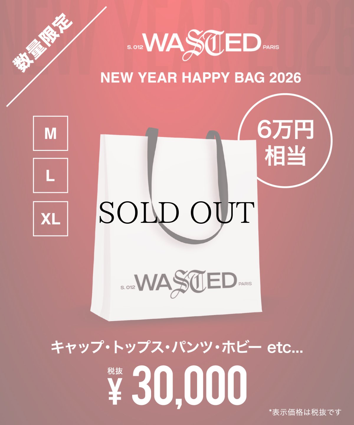 画像1: 数量限定!! / 2026 "WASTED PARIS" NEW YEAR BAG (1)
