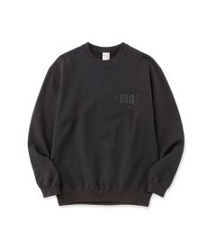 画像3: CALEE(キャリー) / IRON HORSE CREW NECK SW ＜BARTHDAY WORKS DESIGN＞ (3)