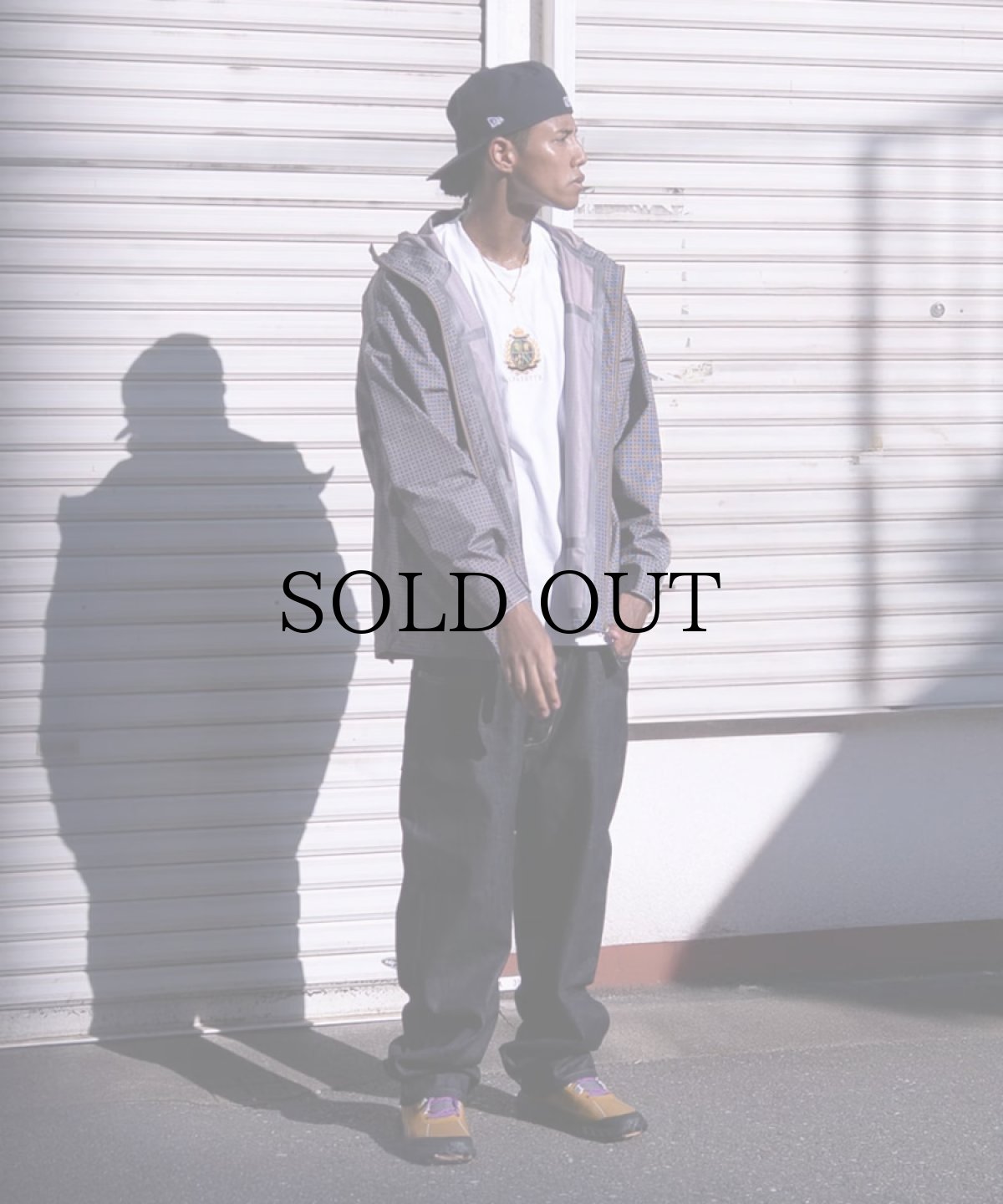 画像23: LFYT(ラファイエット) / 3L MOUNTAIN TECH JACKET (23)